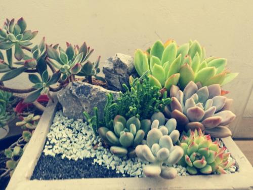 ҳܰ,ʦ͵͵ڿ ϸλǩЭ飿